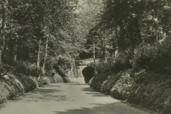 Beaminster Tunnel